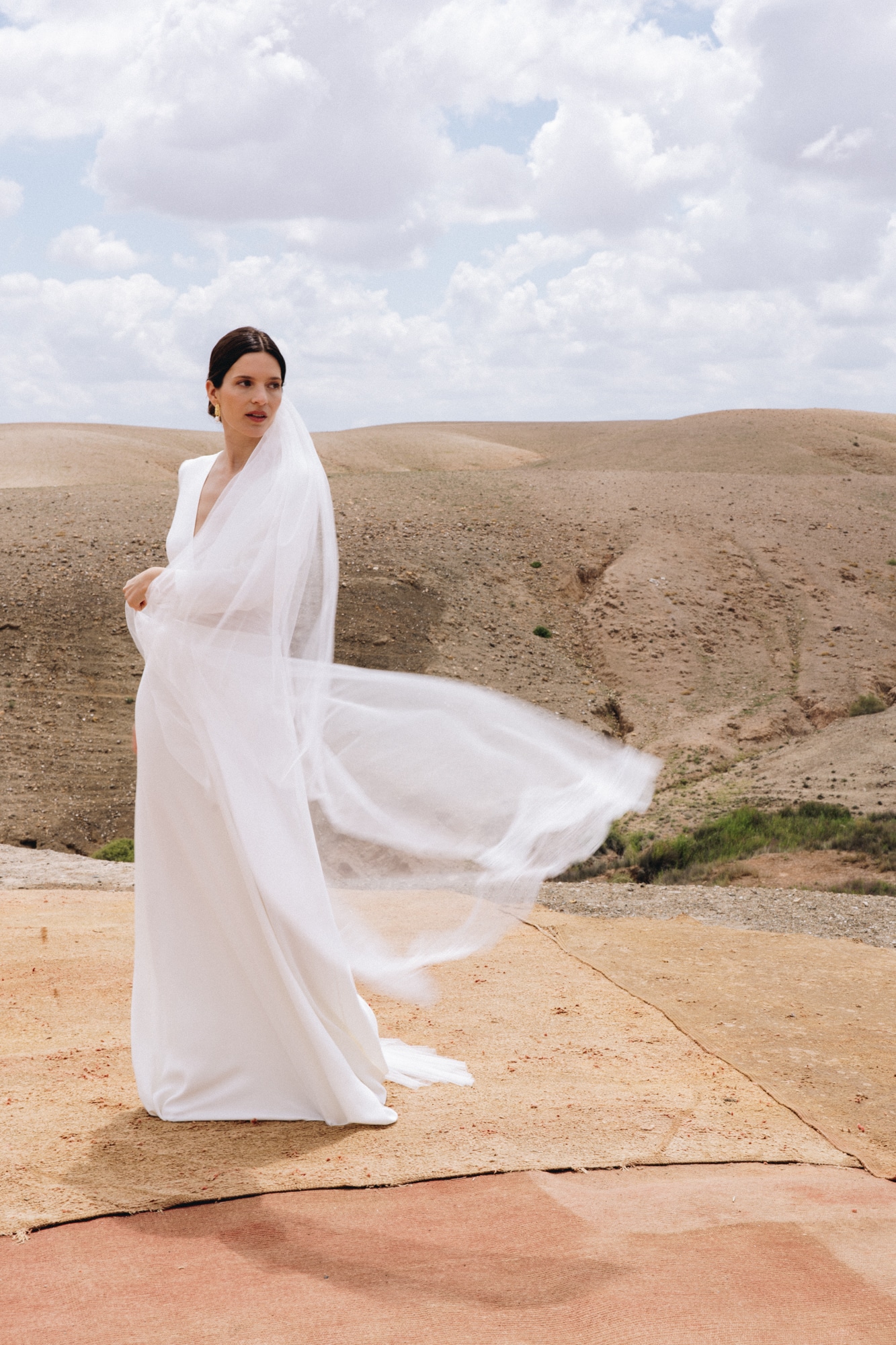 Robe de mariée SWAN